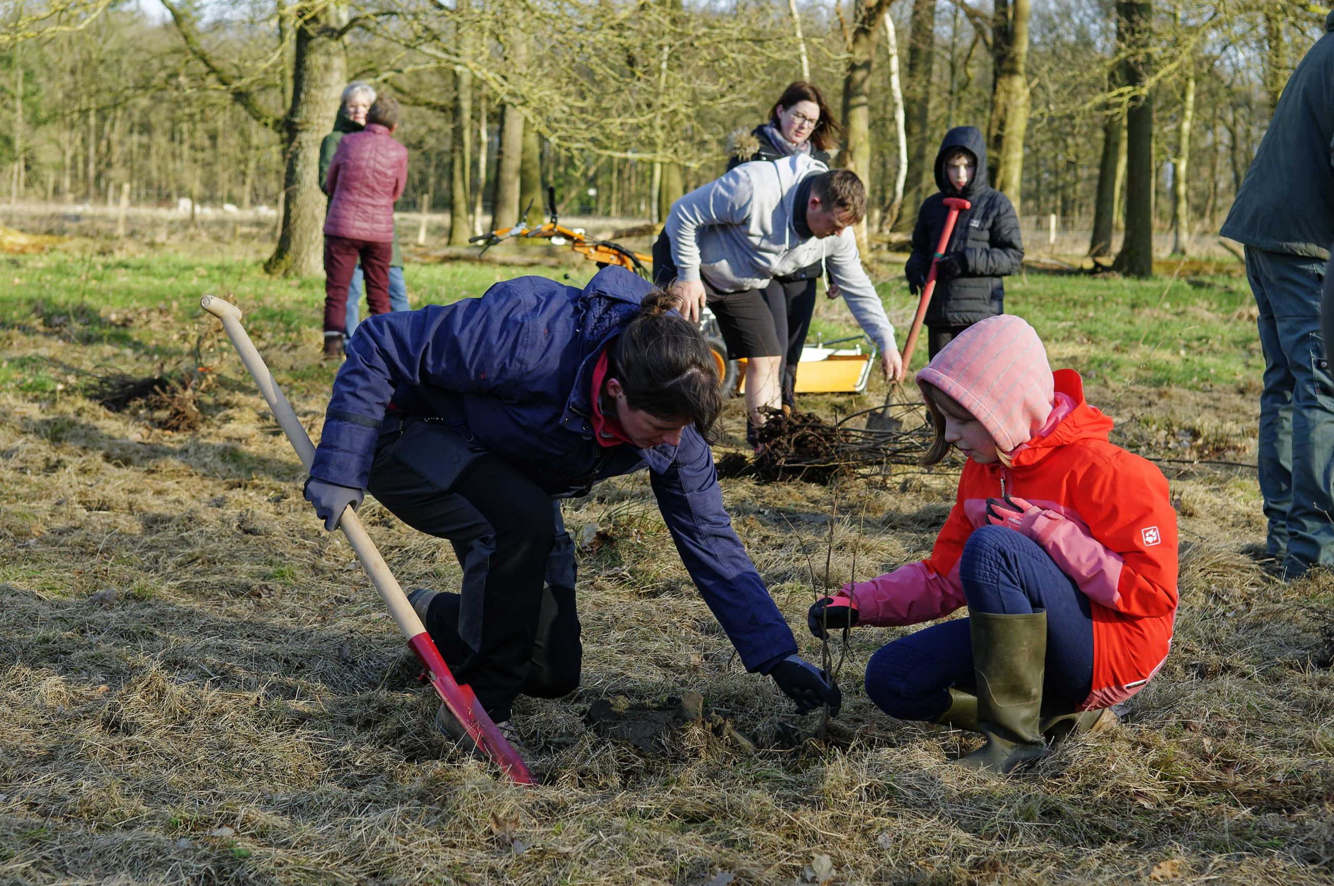 Planters gezocht voor nieuw bos